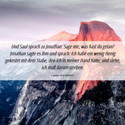 Picture 06 - 1 Samuel 14:43 LUTH1912 - Und Saul sprach zu Jonathan: Sage mir, was hast - Bible Verse Picture