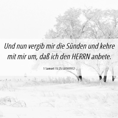 Picture 06 - 1 Samuel 15:25 LUTH1912 - Und nun vergib mir die Sünden und kehre mit mir - Bible Verse Picture
