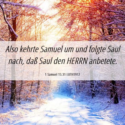 Picture 06 - 1 Samuel 15:31 LUTH1912 - Also kehrte Samuel um und folgte Saul nach, daß - Bible Verse Picture