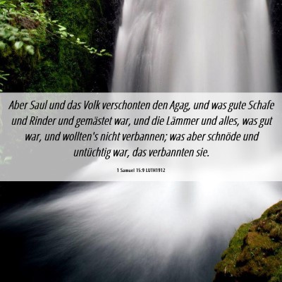 Picture 06 - 1 Samuel 15:9 LUTH1912 - Aber Saul und das Volk verschonten den Agag, und - Bible Verse Picture