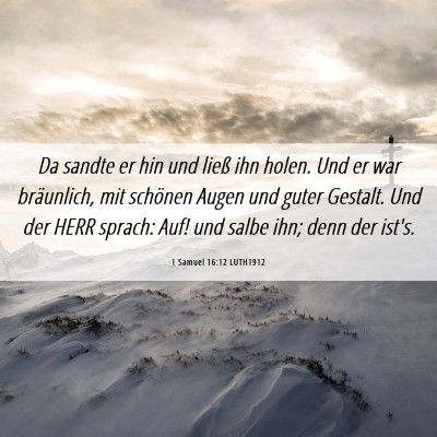 Picture 06 - 1 Samuel 16:12 LUTH1912 - Da sandte er hin und ließ ihn holen. Und er war - Bible Verse Picture