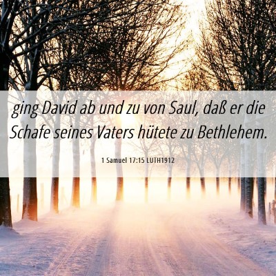 Picture 06 - 1 Samuel 17:15 LUTH1912 - ging David ab und zu von Saul, daß er die Schafe - Bible Verse Picture