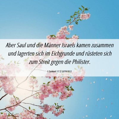 Picture 06 - 1 Samuel 17:2 LUTH1912 - Aber Saul und die Männer Israels kamen zusammen - Bible Verse Picture