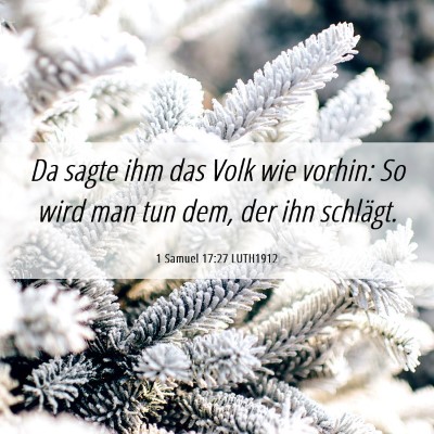 Picture 06 - 1 Samuel 17:27 LUTH1912 - Da sagte ihm das Volk wie vorhin: So wird man tun - Bible Verse Picture