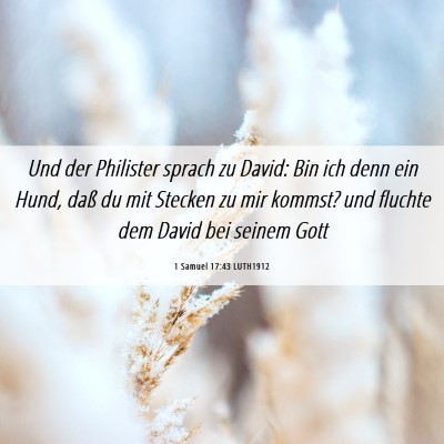 Picture 06 - 1 Samuel 17:43 LUTH1912 - Und der Philister sprach zu David: Bin ich denn - Bible Verse Picture
