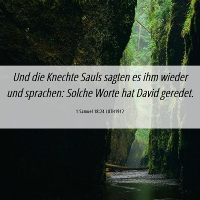 Picture 06 - 1 Samuel 18:24 LUTH1912 - Und die Knechte Sauls sagten es ihm wieder und - Bible Verse Picture