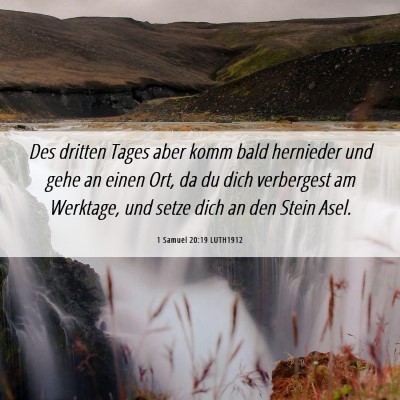 Picture 06 - 1 Samuel 20:19 LUTH1912 - Des dritten Tages aber komm bald hernieder und - Bible Verse Picture