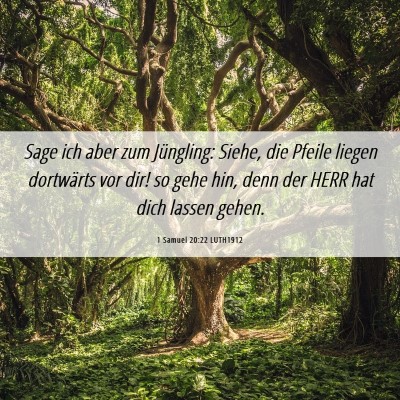 Picture 06 - 1 Samuel 20:22 LUTH1912 - Sage ich aber zum Jüngling: Siehe, die Pfeile - Bible Verse Picture