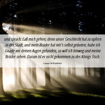 Picture 06 - 1 Samuel 20:29 LUTH1912 - und sprach: Laß mich gehen; denn unser - Bible Verse Picture