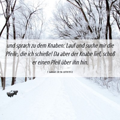 Picture 06 - 1 Samuel 20:36 LUTH1912 - und sprach zu dem Knaben: Lauf und suche mir die - Bible Verse Picture