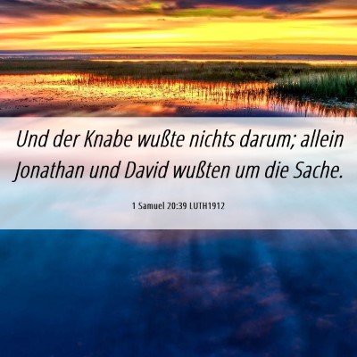 Picture 06 - 1 Samuel 20:39 LUTH1912 - Und der Knabe wußte nichts darum; allein - Bible Verse Picture