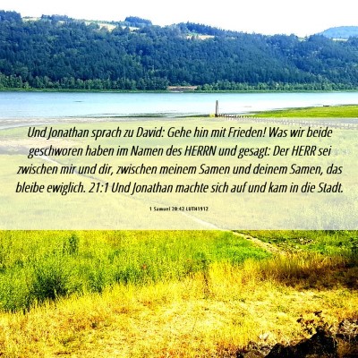Picture 06 - 1 Samuel 20:42 LUTH1912 - Und Jonathan sprach zu David: Gehe hin mit - Bible Verse Picture