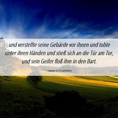 Picture 06 - 1 Samuel 21:13 LUTH1912 - und verstellte seine Gebärde vor ihnen und tobte - Bible Verse Picture