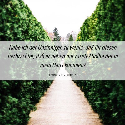 Picture 06 - 1 Samuel 21:15 LUTH1912 - Habe ich der Unsinnigen zu wenig, daß ihr diesen - Bible Verse Picture