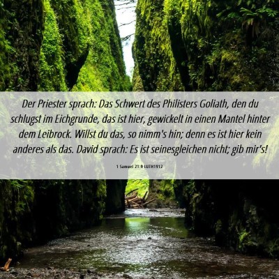 Picture 06 - 1 Samuel 21:9 LUTH1912 - Der Priester sprach: Das Schwert des Philisters - Bible Verse Picture