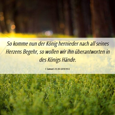 Picture 06 - 1 Samuel 23:20 LUTH1912 - So komme nun der König hernieder nach all seines - Bible Verse Picture