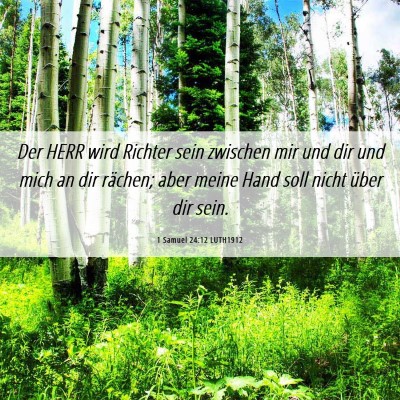 Picture 06 - 1 Samuel 24:12 LUTH1912 - Der HERR wird Richter sein zwischen mir und dir - Bible Verse Picture