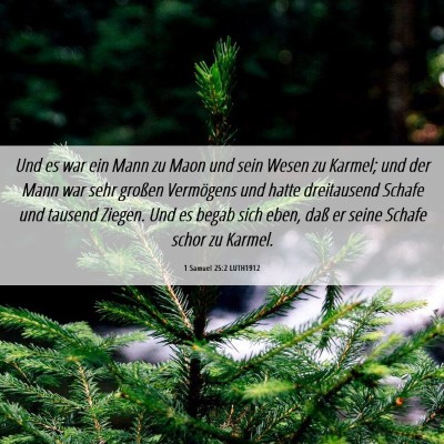 Picture 06 - 1 Samuel 25:2 LUTH1912 - Und es war ein Mann zu Maon und sein Wesen zu - Bible Verse Picture