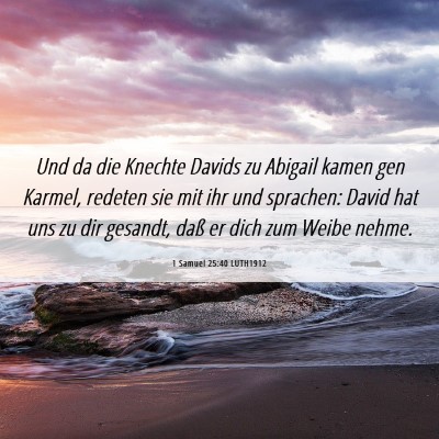 Picture 06 - 1 Samuel 25:40 LUTH1912 - Und da die Knechte Davids zu Abigail kamen gen - Bible Verse Picture