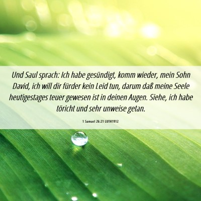 Picture 06 - 1 Samuel 26:21 LUTH1912 - Und Saul sprach: Ich habe gesündigt, komm - Bible Verse Picture