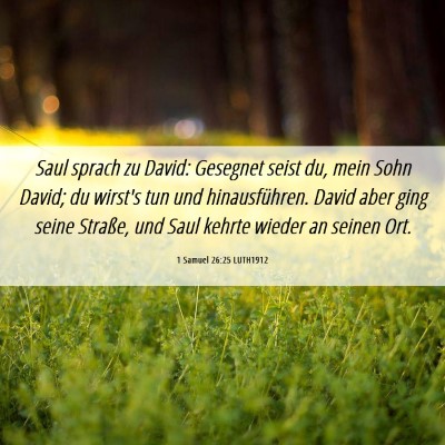Picture 06 - 1 Samuel 26:25 LUTH1912 - Saul sprach zu David: Gesegnet seist du, mein - Bible Verse Picture
