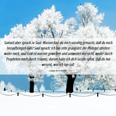 Picture 06 - 1 Samuel 28:15 LUTH1912 - Samuel aber sprach zu Saul: Warum hast du mich - Bible Verse Picture
