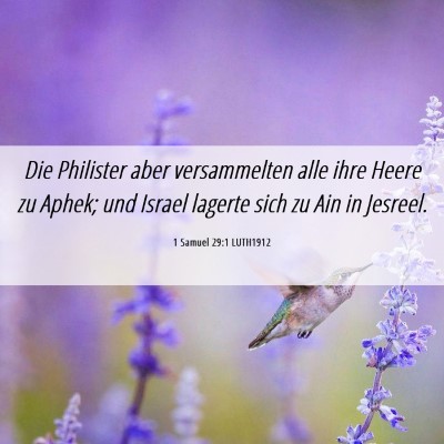Picture 06 - 1 Samuel 29:1 LUTH1912 - Die Philister aber versammelten alle ihre Heere - Bible Verse Picture