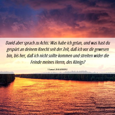 Picture 06 - 1 Samuel 29:8 LUTH1912 - David aber sprach zu Achis: Was habe ich getan, - Bible Verse Picture
