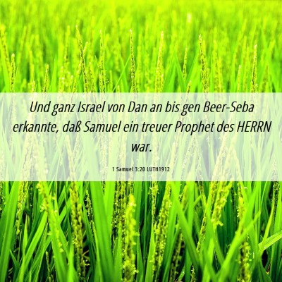 Picture 06 - 1 Samuel 3:20 LUTH1912 - Und ganz Israel von Dan an bis gen Beer-Seba - Bible Verse Picture