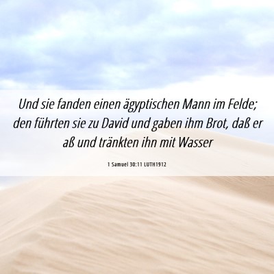 Picture 06 - 1 Samuel 30:11 LUTH1912 - Und sie fanden einen ägyptischen Mann im Felde; - Bible Verse Picture