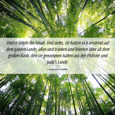 Picture 06 - 1 Samuel 30:16 LUTH1912 - Und er führte ihn hinab. Und siehe, sie hatten - Bible Verse Picture