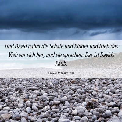 Picture 06 - 1 Samuel 30:20 LUTH1912 - Und David nahm die Schafe und Rinder und trieb - Bible Verse Picture