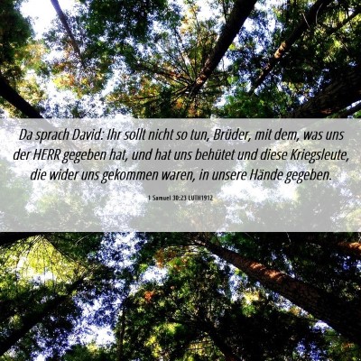 Picture 06 - 1 Samuel 30:23 LUTH1912 - Da sprach David: Ihr sollt nicht so tun, Brüder, - Bible Verse Picture