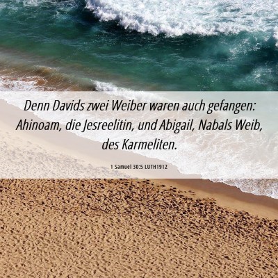 Picture 06 - 1 Samuel 30:5 LUTH1912 - Denn Davids zwei Weiber waren auch gefangen: - Bible Verse Picture