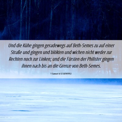 Picture 06 - 1 Samuel 6:12 LUTH1912 - Und die Kühe gingen geradewegs auf Beth-Semes zu - Bible Verse Picture