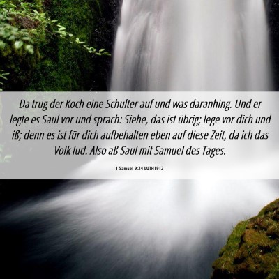 Picture 06 - 1 Samuel 9:24 LUTH1912 - Da trug der Koch eine Schulter auf und was - Bible Verse Picture