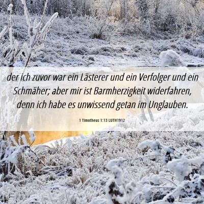 Picture 06 - 1 Timotheus 1:13 LUTH1912 - der ich zuvor war ein Lästerer und ein Verfolger - Bible Verse Picture