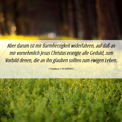 Picture 06 - 1 Timotheus 1:16 LUTH1912 - Aber darum ist mir Barmherzigkeit widerfahren, - Bible Verse Picture