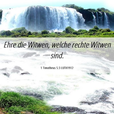 Picture 06 - 1 Timotheus 5:3 LUTH1912 - Ehre die Witwen, welche rechte Witwen - Bible Verse Picture