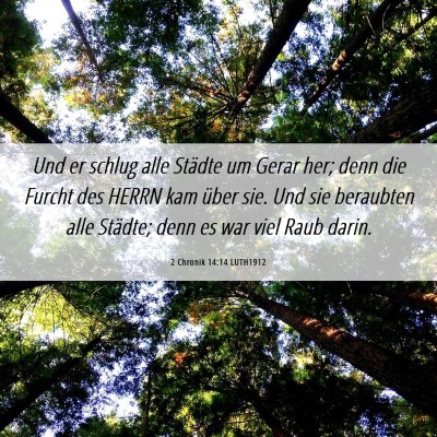 Picture 06 - 2 Chronik 14:14 LUTH1912 - Und er schlug alle Städte um Gerar her; denn die - Bible Verse Picture