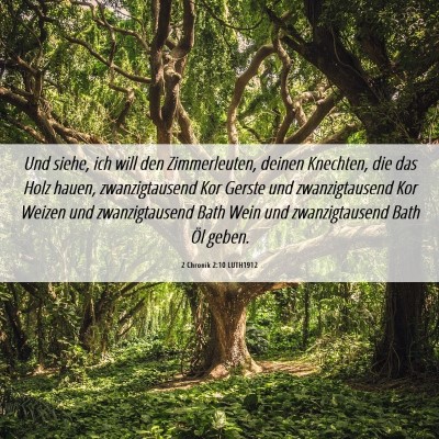 Picture 06 - 2 Chronik 2:10 LUTH1912 - Und siehe, ich will den Zimmerleuten, deinen - Bible Verse Picture