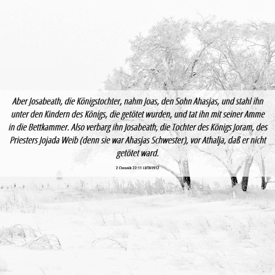 Picture 06 - 2 Chronik 22:11 LUTH1912 - Aber Josabeath, die Königstochter, nahm Joas, - Bible Verse Picture