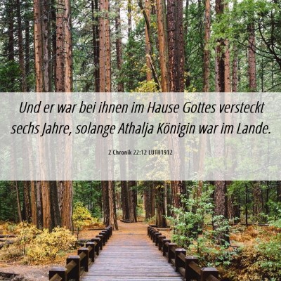 Picture 06 - 2 Chronik 22:12 LUTH1912 - Und er war bei ihnen im Hause Gottes versteckt - Bible Verse Picture
