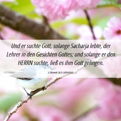 Picture 06 - 2 Chronik 26:5 LUTH1912 - Und er suchte Gott, solange Sacharja lebte, der - Bible Verse Picture