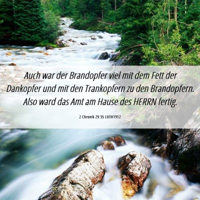 Picture 06 - 2 Chronik 29:35 LUTH1912 - Auch war der Brandopfer viel mit dem Fett der - Bible Verse Picture
