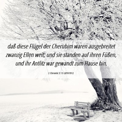 Picture 06 - 2 Chronik 3:13 LUTH1912 - daß diese Flügel der Cherubim waren - Bible Verse Picture