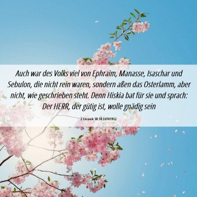 Picture 06 - 2 Chronik 30:18 LUTH1912 - Auch war des Volks viel von Ephraim, Manasse, - Bible Verse Picture