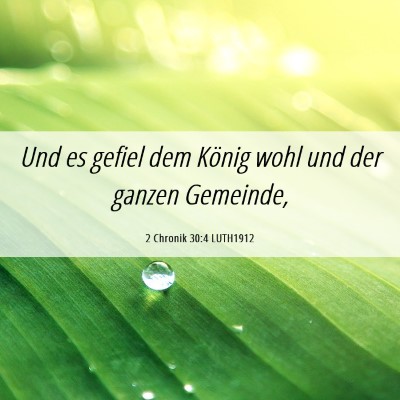 Picture 06 - 2 Chronik 30:4 LUTH1912 - Und es gefiel dem König wohl und der ganzen - Bible Verse Picture