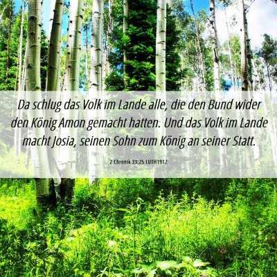 Picture 06 - 2 Chronik 33:25 LUTH1912 - Da schlug das Volk im Lande alle, die den Bund - Bible Verse Picture