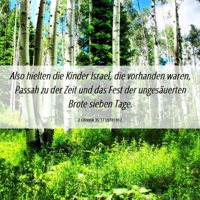 Picture 06 - 2 Chronik 35:17 LUTH1912 - Also hielten die Kinder Israel, die vorhanden - Bible Verse Picture